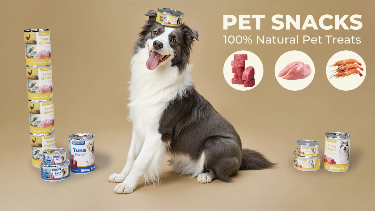 Pet Snacks