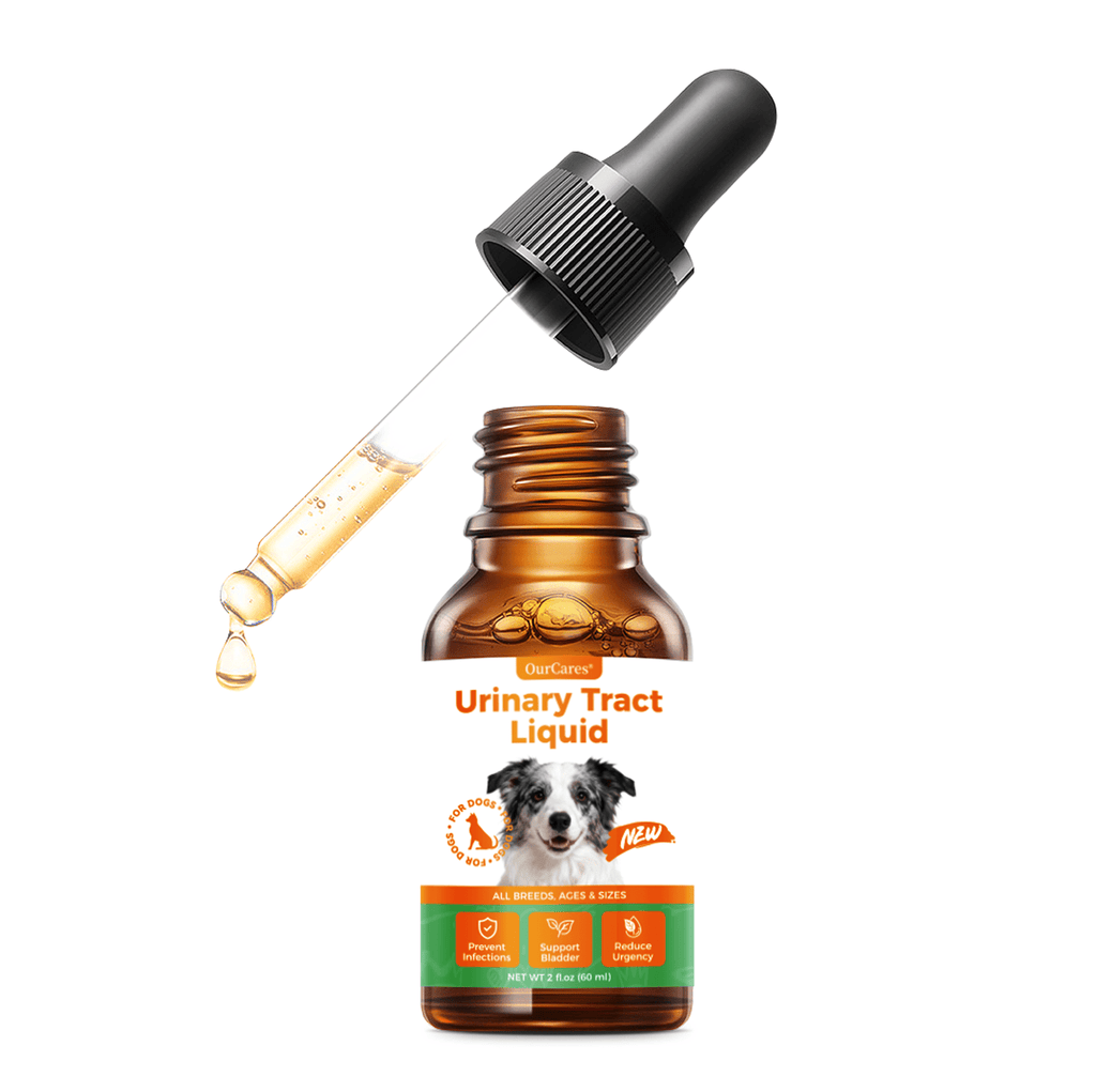 OURCARES Urinary Tract Support for Dogs, Kidney & Bladder Health Supplement