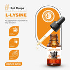 OURCARES L-Lysine Liquid for Cats, Immune System Support & Respiratory Health Booster