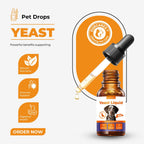 OURCARES Dog Yeast & Itch Relief, Skin Flora Balance & Healthy Skin Support