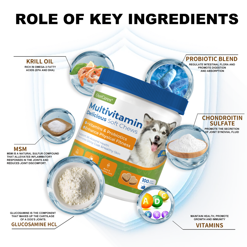 Dog Multivitamin - Complete Daily Support