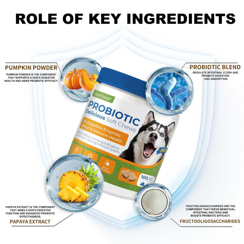 Probiotics for Dogs - Digestive Health