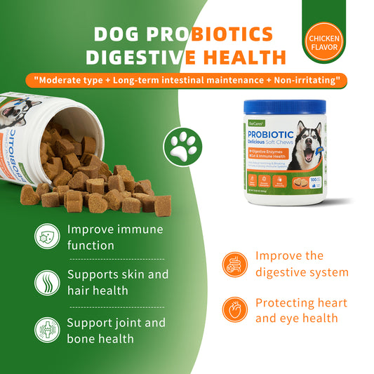 Probiotic Bites for Dogs - Digestive & Immune Support - 100ct Soft Chews