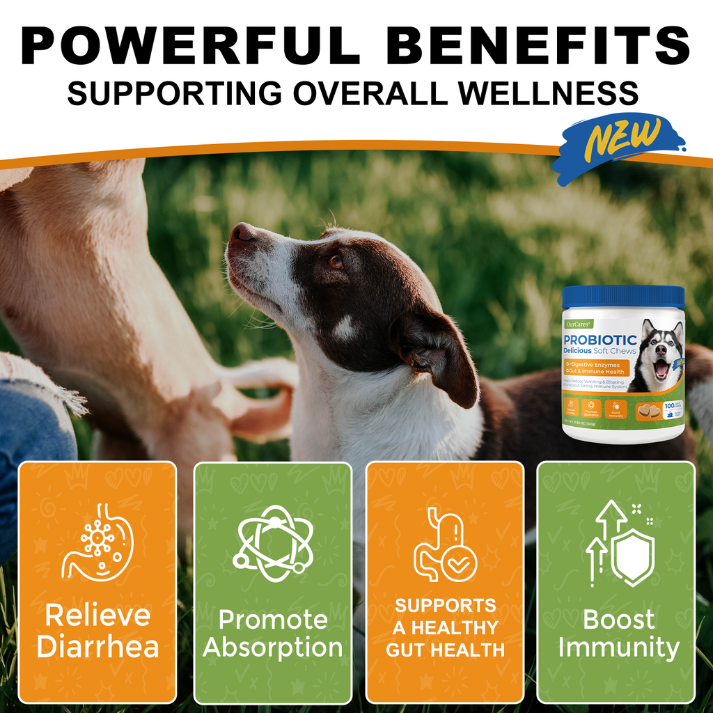 Probiotics for Dogs - Digestive Health