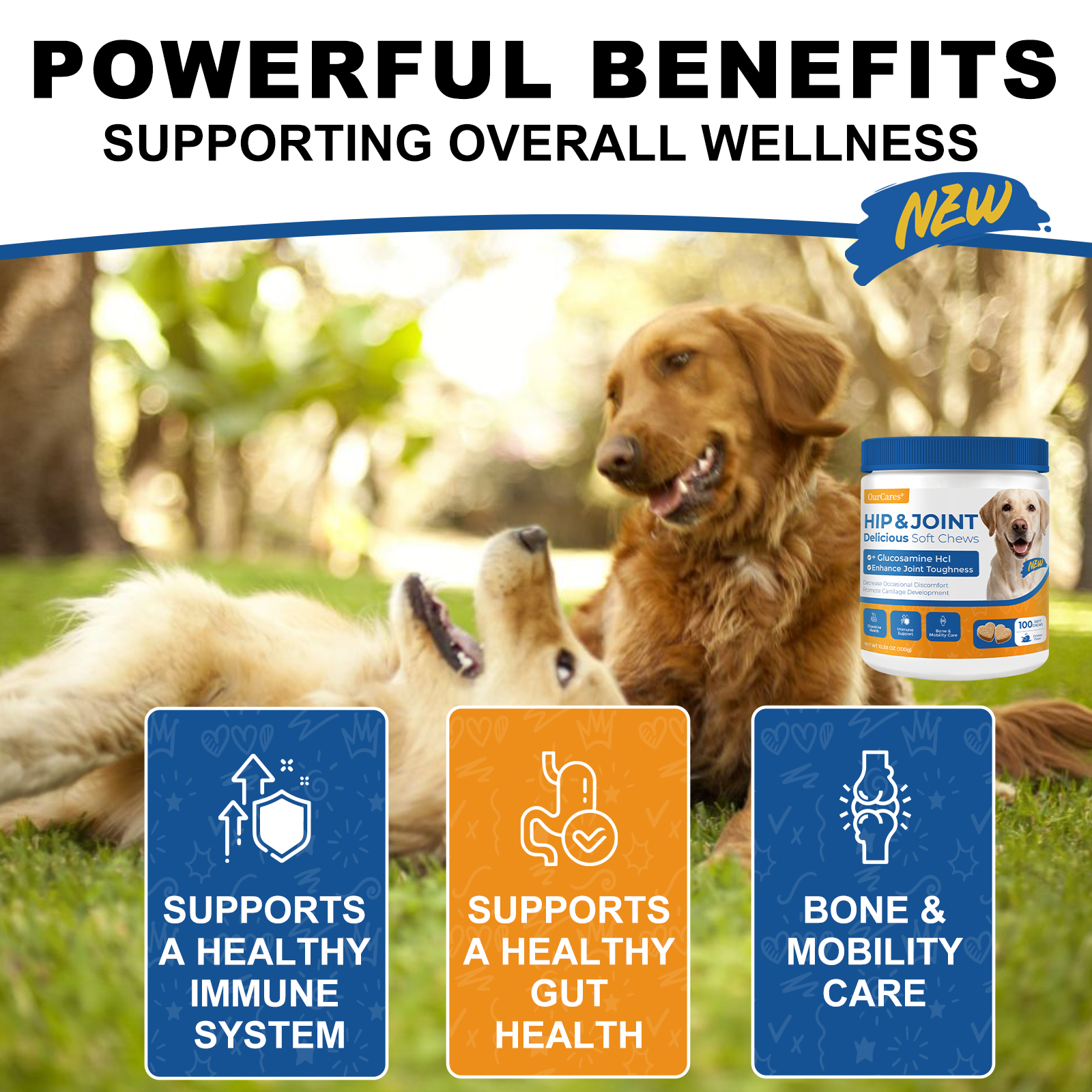 Advanced Hip & Joint Support for Dogs