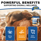 Salmon Oil for Dogs - Skin & Coat Support