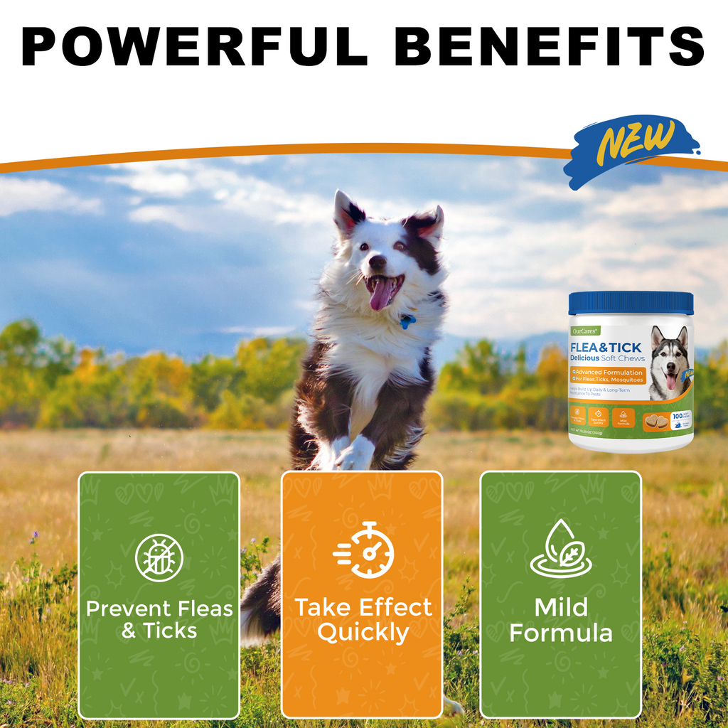 Natural Flea & Tick Prevention for Dogs