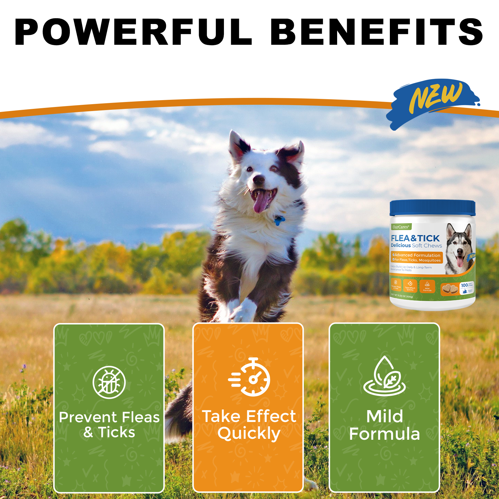 Natural Flea & Tick Prevention for Dogs