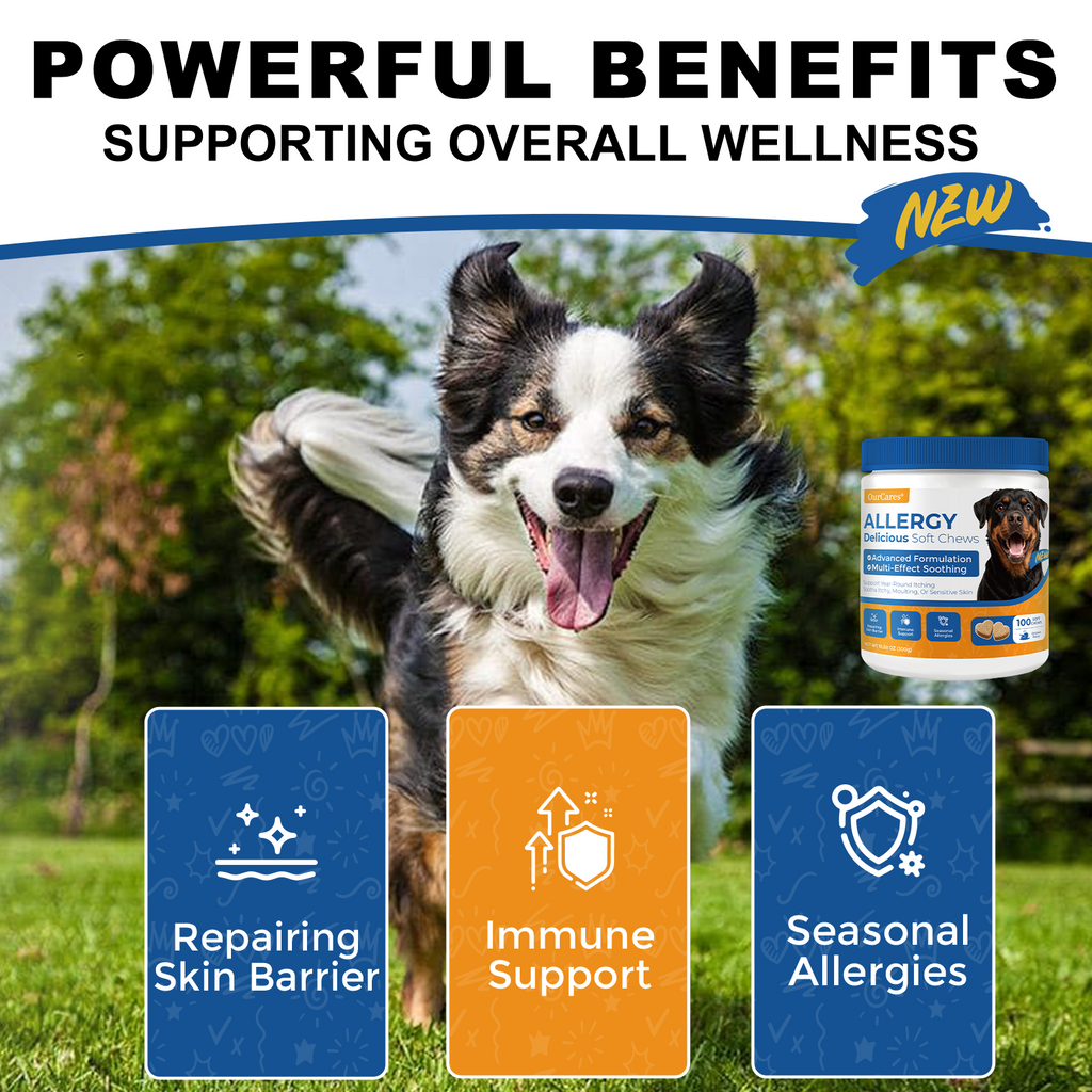 Dog Allergy Relief Chews - Immune Support