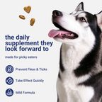 OURCARES Advanced Shield Soft Chews offer natural defense and effective pest protection against fleas and ticks, keep dogs safe and healthy all year round