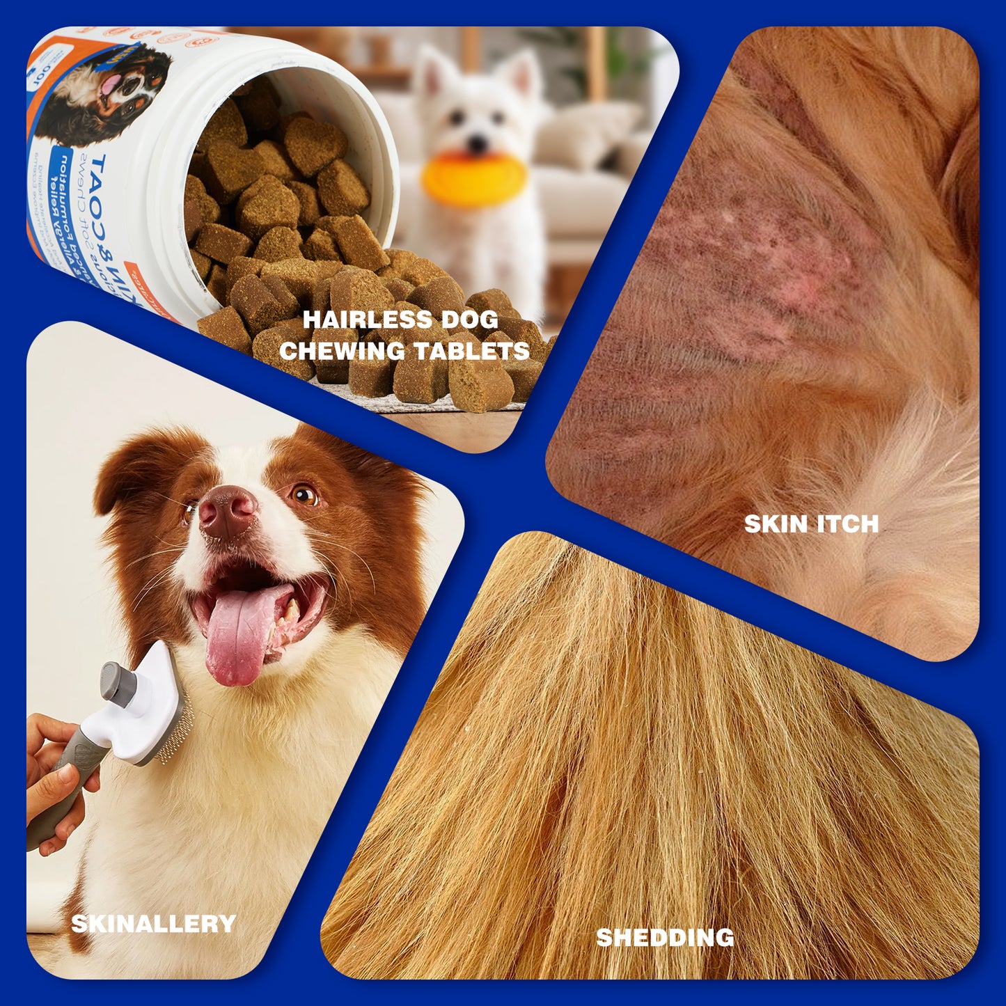 Skin and Coat Supplement - Omega-3 Support for Itchy Skin & Shedding