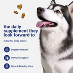 OURCARES 10-in-1 Multivitamin Soft Chews provide daily comprehensive support for dog skin, coat and joint health, ideal for all breeds