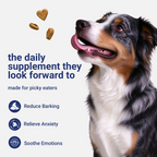 OURCARES Calming Chews for Dogs, Relief for Separation Anxiety, Thunder & Fireworks Stress Support