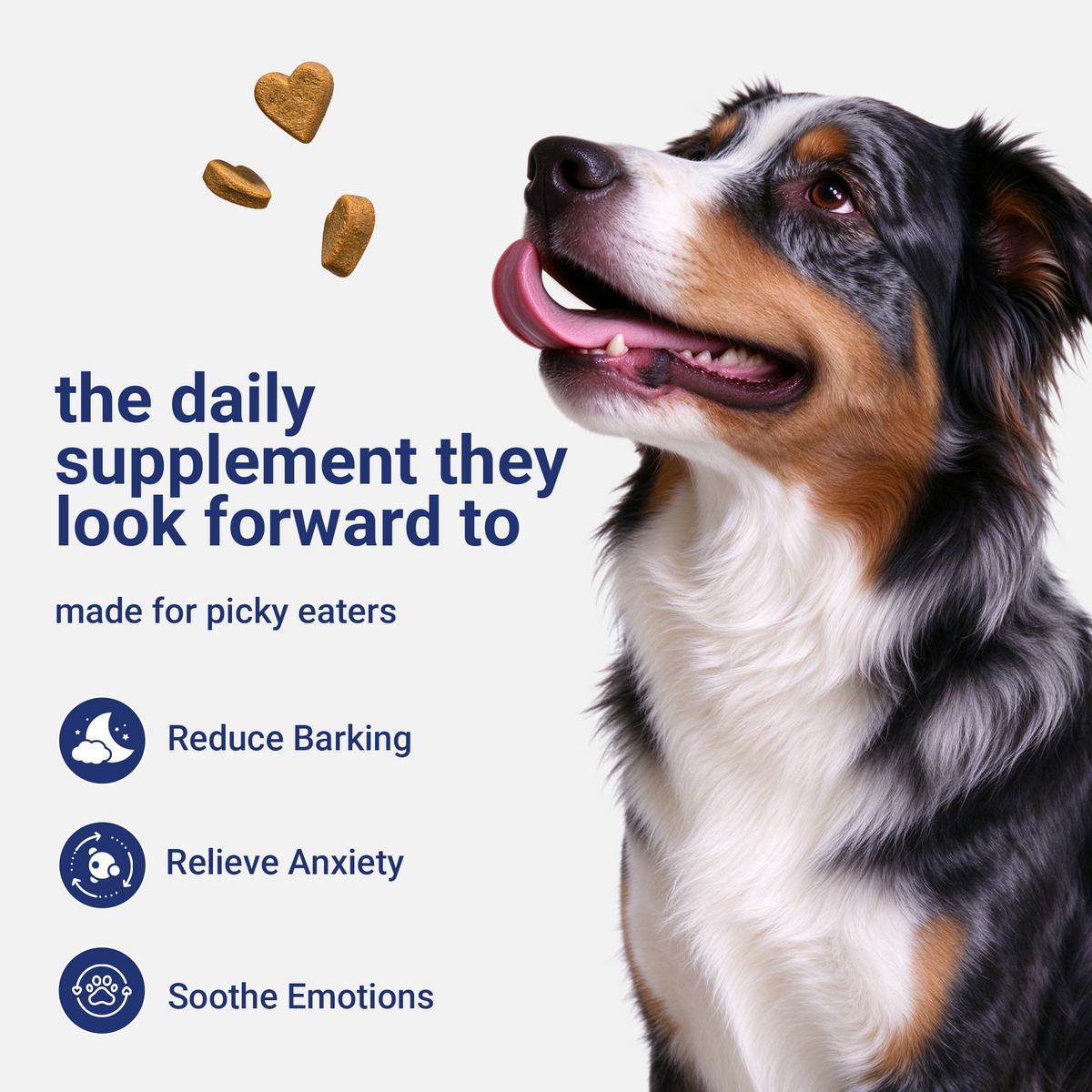 OURCARES Calming Chews for Dogs, Relief for Separation Anxiety, Thunder & Fireworks Stress Support