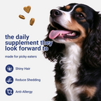 OURCARES Skin and Coat Supplement, Omega-3 for Dogs, Relieves Itchy Skin & Reduces Excessive Shedding