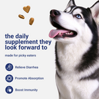 OURCARES Probiotic Bites soft chews support dog digestive health and immune system, daily probiotic supplement for all breeds