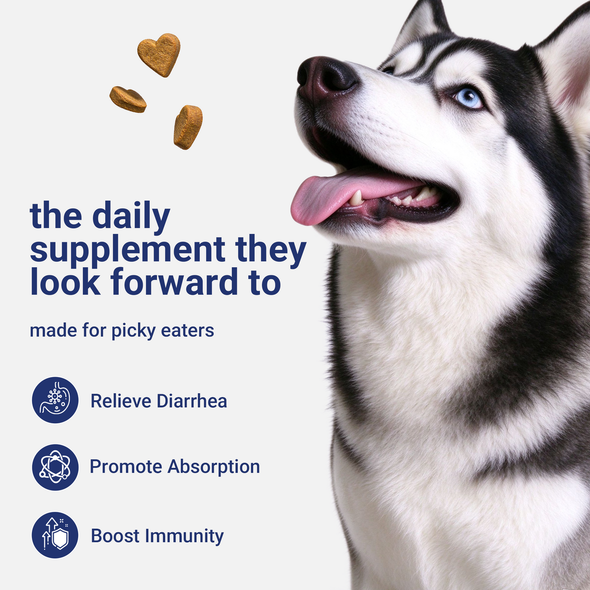 OURCARES Probiotic Bites soft chews support dog digestive health and immune system, daily probiotic supplement for all breeds