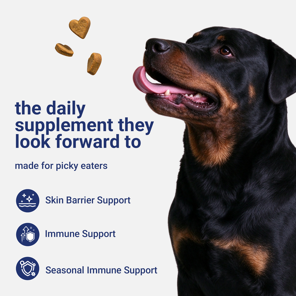 OURCARES Dog Allergy Relief Chews support seasonal allergy discomfort, soothe itchy skin and provide natural itch relief for all breeds of dogs