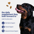 OURCARES Dog Allergy Relief Chews support seasonal allergy discomfort, soothe itchy skin and provide natural itch relief for all breeds of dogs