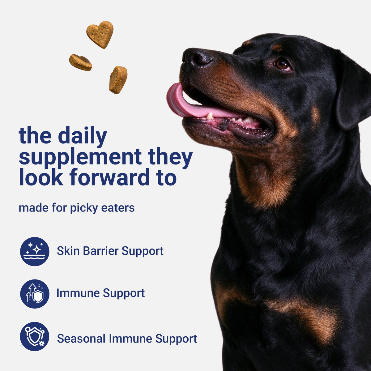 OURCARES Dog Allergy Relief Chews support seasonal allergy discomfort, soothe itchy skin and provide natural itch relief for all breeds of dogs