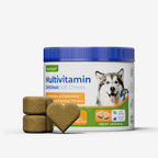 OURCARES 10-in-1 Multivitamin Soft Chews provide daily comprehensive support for dog skin, coat and joint health, ideal for all breeds