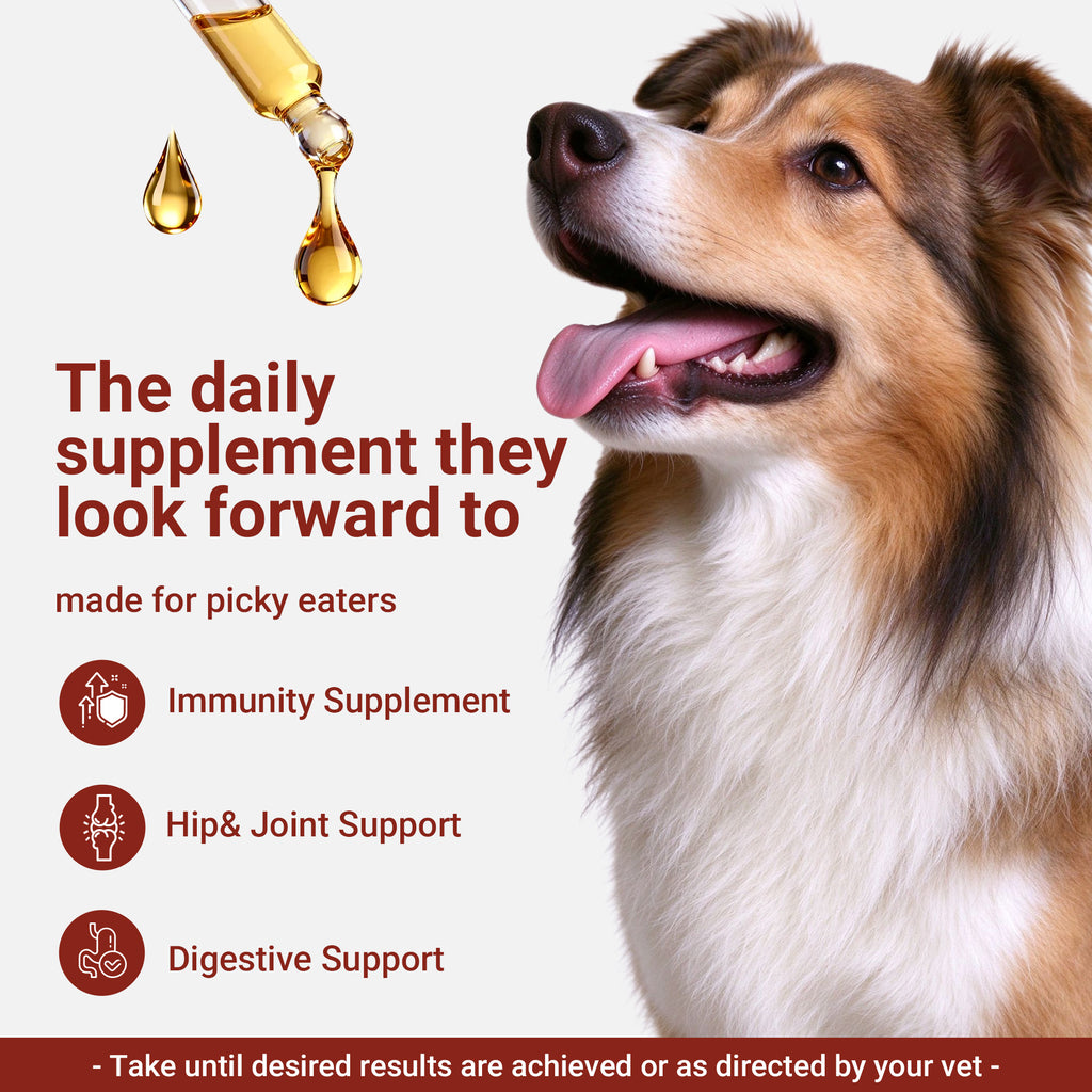 OURCARES 10-in-1 Dog Multivitamin, Essential Nutrition Support for All Life Stages