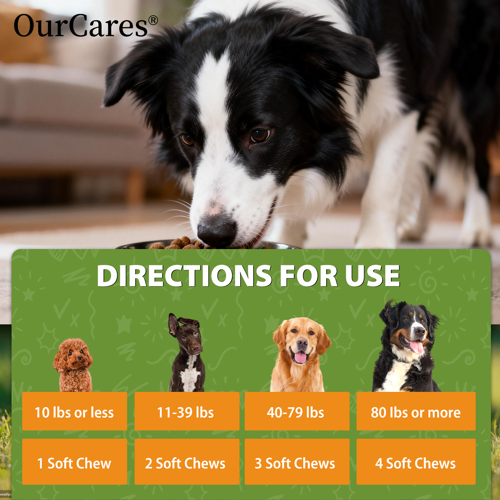 Natural Flea & Tick Prevention for Dogs