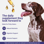 OURCARES Dog Yeast & Itch Relief, Skin Flora Balance & Healthy Skin Support