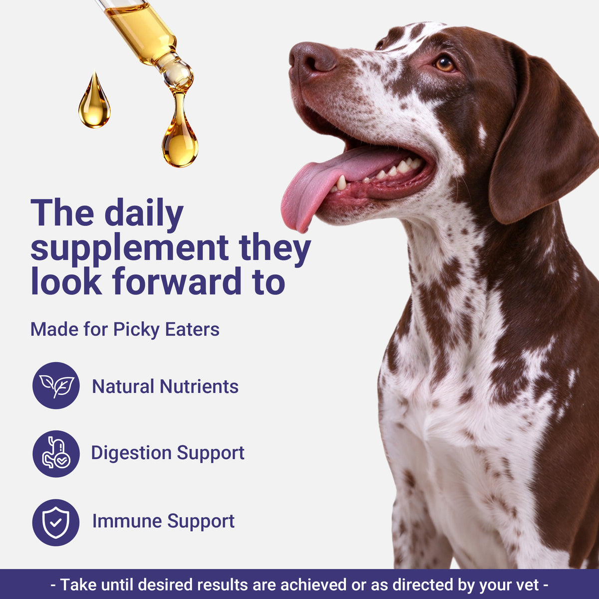 OURCARES Dog Yeast & Itch Relief, Skin Flora Balance & Healthy Skin Support