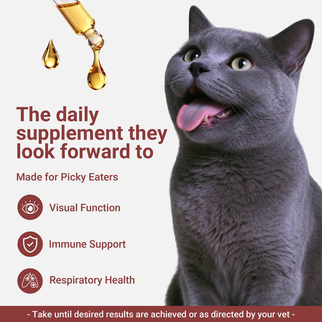 OURCARES L-Lysine Liquid for Cats, Immune System Support & Respiratory Health Booster