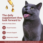 OURCARES L-Lysine Liquid for Cats, Immune System Support & Respiratory Health Booster