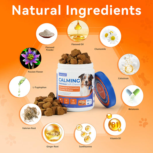 Calming Chews for Dogs - Relief for Separation Anxiety, Thunder & Fireworks