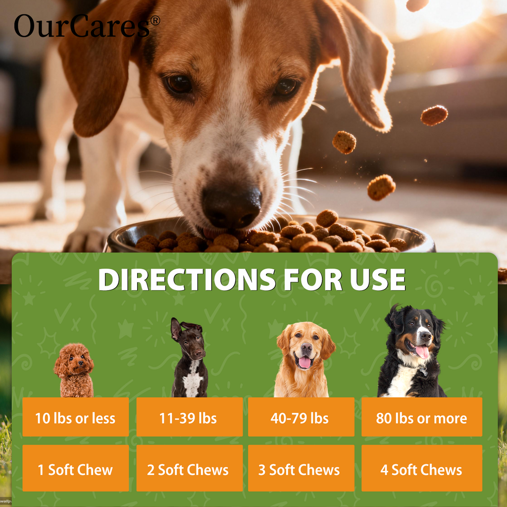 Probiotics for Dogs - Digestive Health