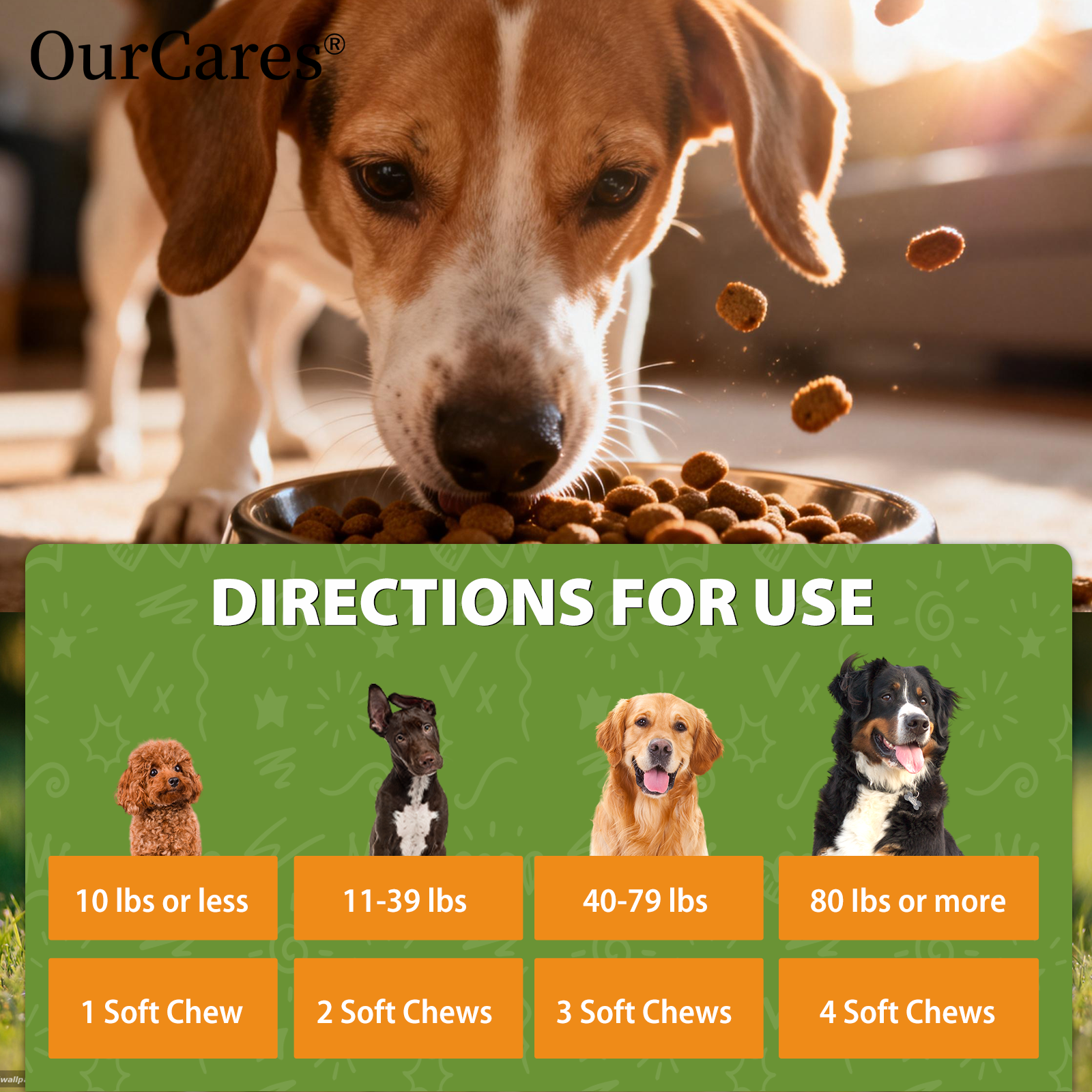 Probiotics for Dogs - Digestive Health