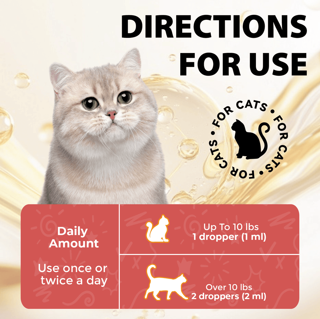 OURCARES L-Lysine Liquid for Cats, Immune System Support & Respiratory Health Booster