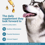 OURCARES Natural Antibiotic for Dogs, Immune Support & Infection Defense Supplement