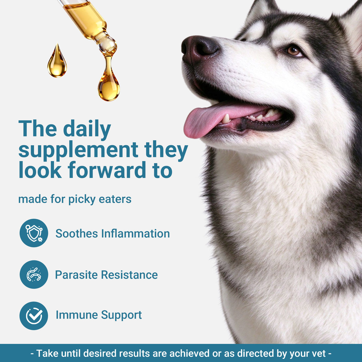 OURCARES Natural Antibiotic for Dogs, Immune Support & Infection Defense Supplement