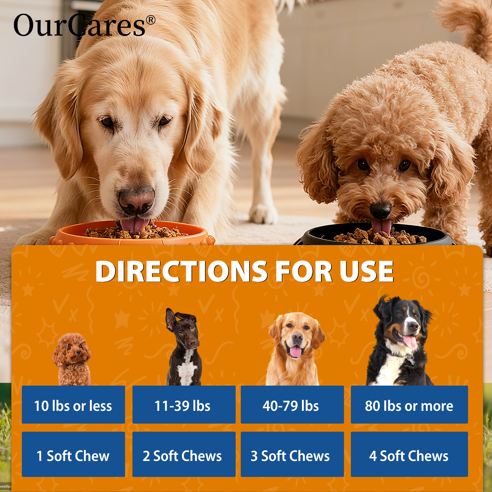 Advanced Hip & Joint Support for Dogs