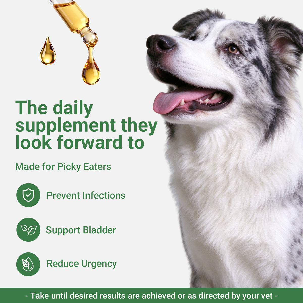 OURCARES Urinary Tract Support for Dogs, Kidney & Bladder Health Supplement