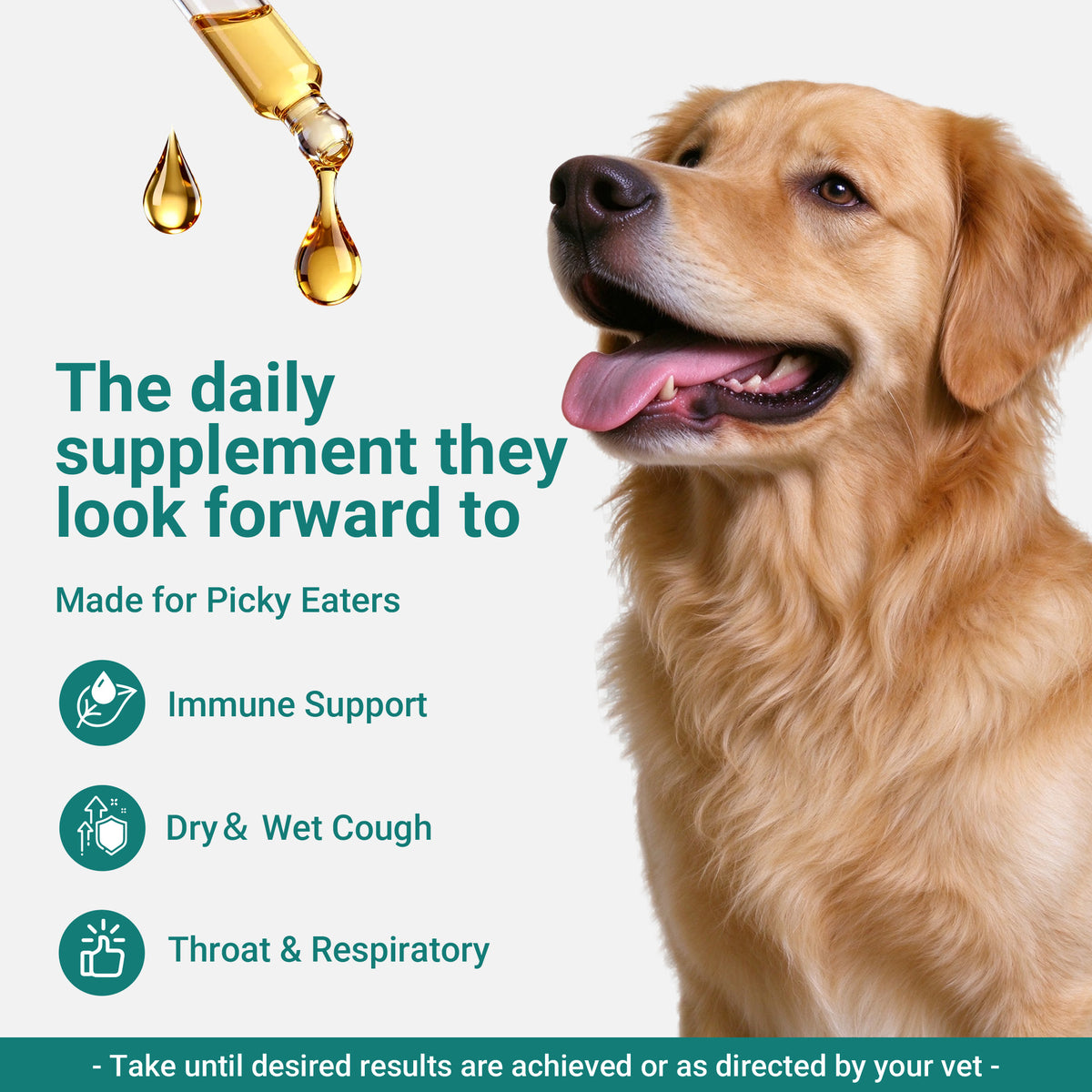 OURCARES Dog Respiratory Support, Soothing Relief for Occasional Cough & Nasal Congestion