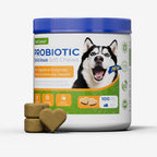 OURCARES Probiotic Bites soft chews support dog digestive health and immune system, daily probiotic supplement for all breeds