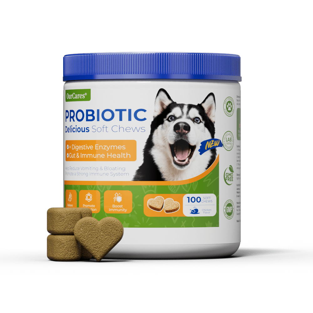 OURCARES Probiotic Bites soft chews support dog digestive health and immune system, daily probiotic supplement for all breeds