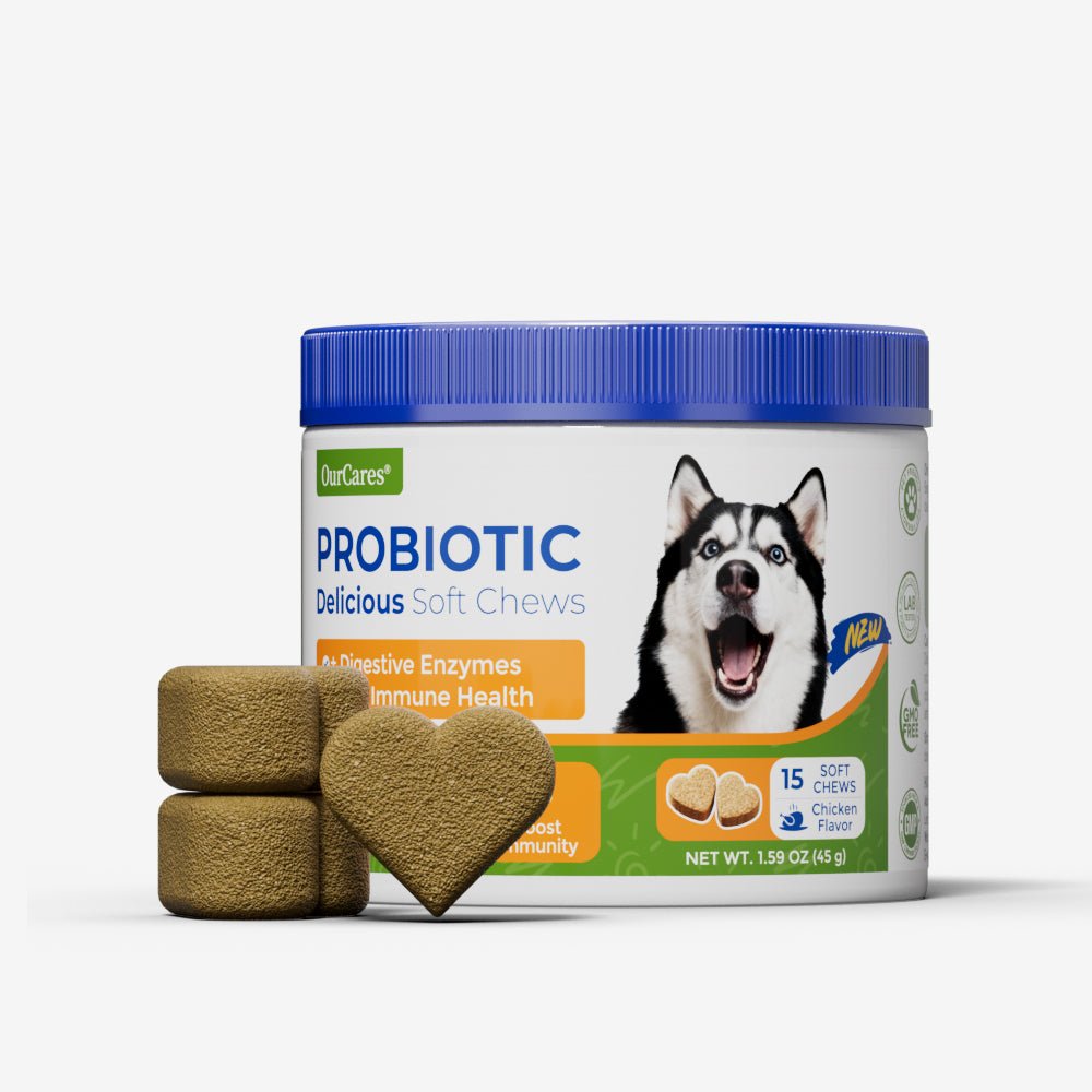 OURCARES Probiotic Bites soft chews support dog digestive health and immune system, daily probiotic supplement for all breeds