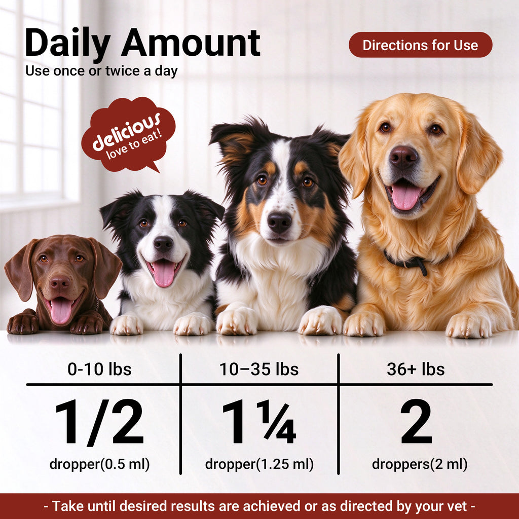 OURCARES 10-in-1 Dog Multivitamin, Essential Nutrition Support for All Life Stages