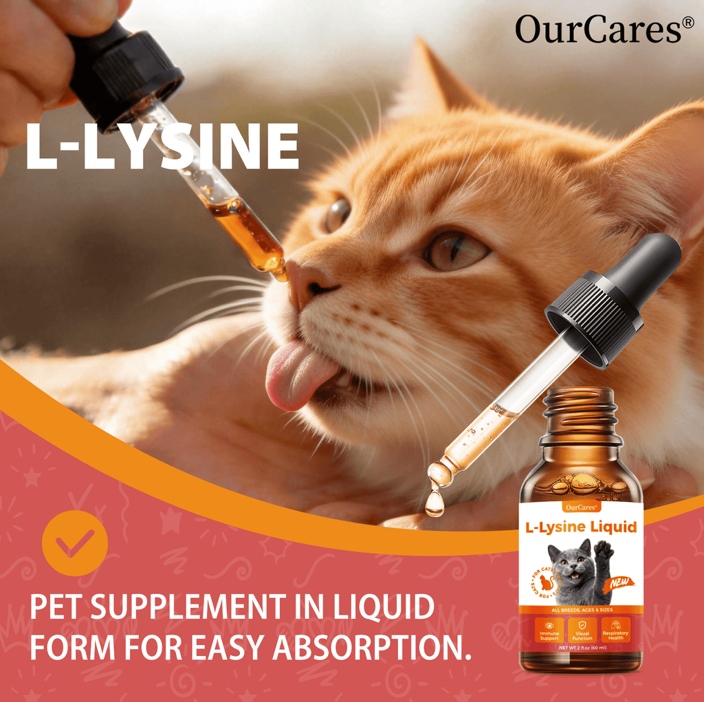 OURCARES L-Lysine Liquid for Cats, Immune System Support & Respiratory Health Booster