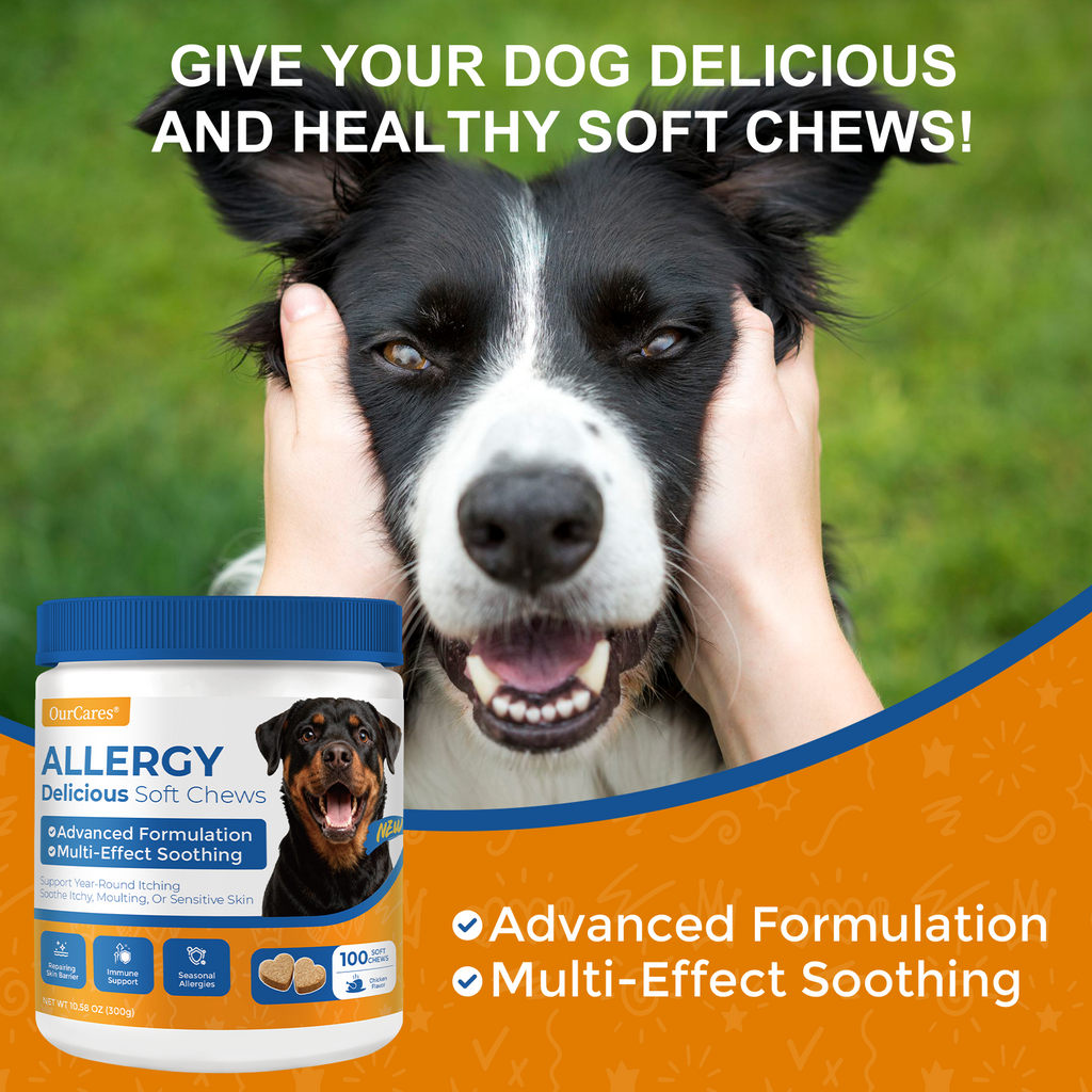 Dog Allergy Relief Chews - Immune Support