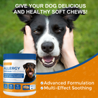 Dog Allergy Relief Chews - Immune Support