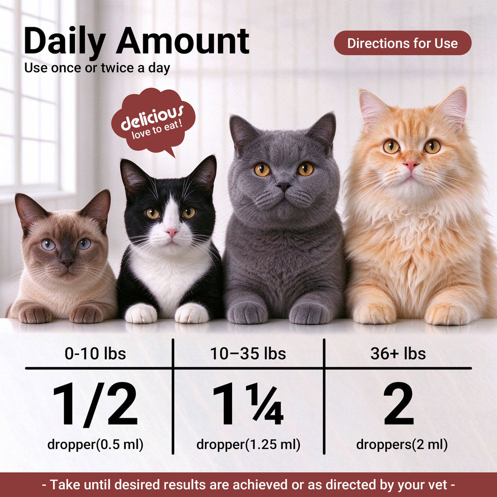 OURCARES L-Lysine Liquid for Cats, Immune System Support & Respiratory Health Booster