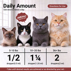 OURCARES L-Lysine Liquid for Cats, Immune System Support & Respiratory Health Booster