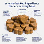 OURCARES Calming Chews for Dogs, Relief for Separation Anxiety, Thunder & Fireworks Stress Support